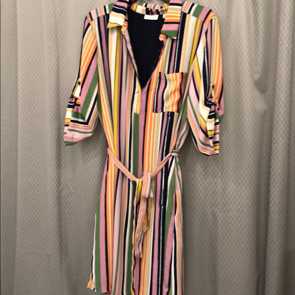 The Limited Striped Shirt Dress w/ Pockets